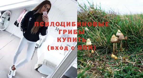 герыч Сатка