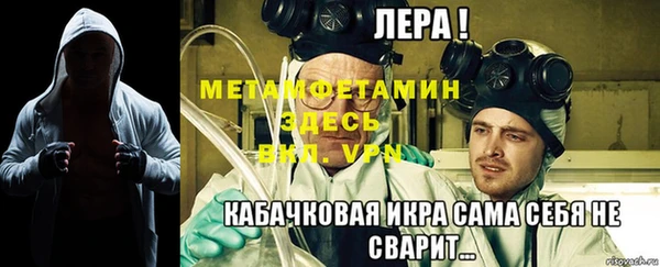 ГАЛЛЮЦИНОГЕННЫЕ ГРИБЫ Семёнов