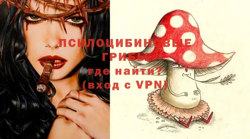 Псилоцибиновые грибы Psilocybe  купить закладку  Струнино 