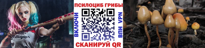 как найти Струнино Галлюциногенные грибы прущие грибы